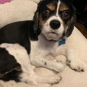 Meet your Posher, Debra